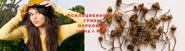 спиды Абаза